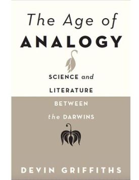 Age of Analogy cover image